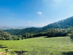 -敬亭山风景名胜区