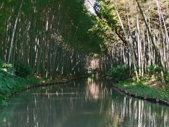 -同里国家湿地公园