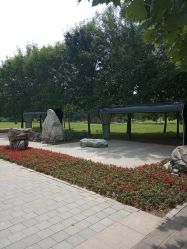 -大望京儿童游乐场