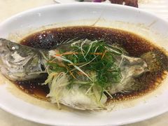 -海晖酒楼·顺德鱼生(荣华店)