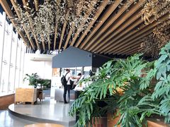 -Seesaw Coffee(朝阳大悦城店)