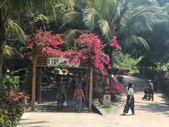 -蜈支洲岛珊瑚酒店临海阁中餐厅
