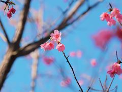 -福清灵石山国家森林公园