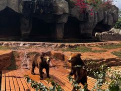 -海南热带野生动植物园