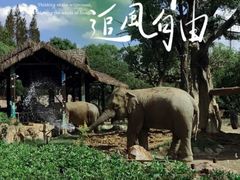 -上海野生动物园