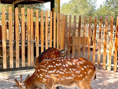 -水上乐园·欢乐世界