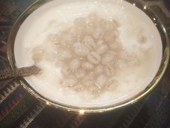 -古树酸奶(八廓南街店)