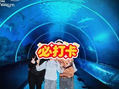-圣淘沙名胜世界
