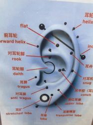 -AI艾耳·专业手工耳洞·穿孔美学馆