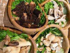 -滇野云南野生菌餐厅(陕西南路店)