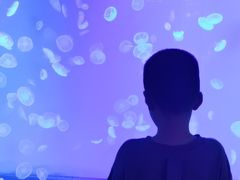 -上海海昌海洋公园-冰山北极馆