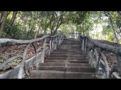 -梧桐山风景名胜区