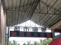-曼阁市场水果批发市场