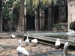 -巴塞罗那主教座堂