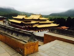 -达仓郎木寺院