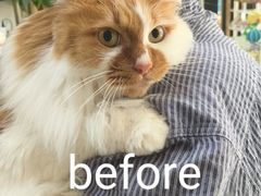 -八公叔叔宠物美容连锁(春申店)