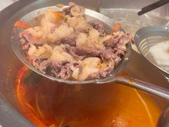 -陈记顺和潮汕牛肉火锅(棠德南路店)