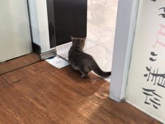 -荔康动物医院(康王北路店)