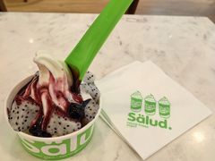 -Salud撒露欧洲冻酸奶(蓝色港湾店)