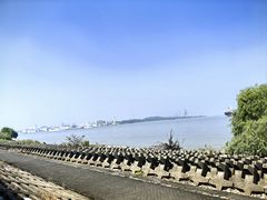 -上海滨江森林公园