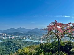 -风云岭森林公园