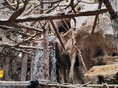 -长鹿旅游休博园