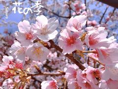 -静安雕塑公园