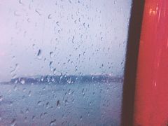 -青岛森林野生动物世界