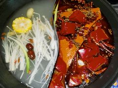 -阳阳老火锅(小南门店)