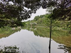 -广州市石门国家森林公园