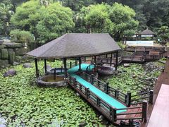 -明月山天沐温泉度假村