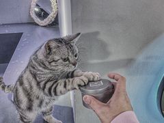 -极木²邸 人与宠物·互动社区