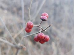 -辛安庄鸡鸣山景区