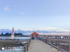 -东郊椰林