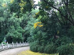 -江阴君山寺