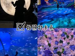 -顺德南宏海立方海洋公园