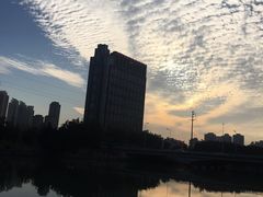 -光明港公园