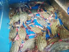 -宾朋海鲜特色美食餐厅·纯手工鲅鱼水饺(兴海路店)