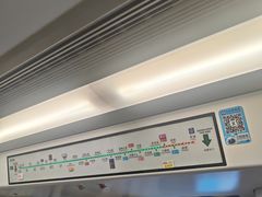 -大剧院(地铁站)