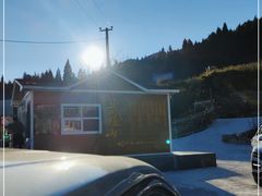 -武陵山森林公园