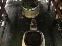 -三只耳火锅(宽窄巷子店)
