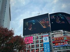 -涩谷全向十字路口