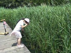-前关湿地公园