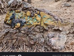 -沈阳辉山风景区