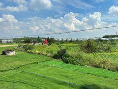 -美家乐农庄·露营·团建(大治路店)