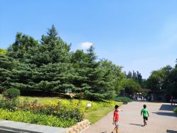 -大望京儿童游乐场