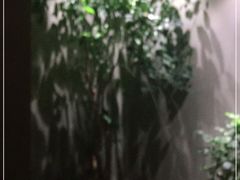 -合和大唐(江夏纸坊店)