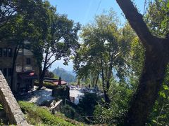 -莫干山风景区