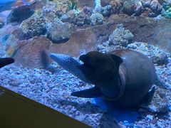 -秦皇岛新澳海底世界