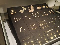 -金沙遗址博物馆